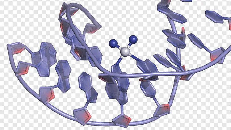 The Inorganic Chemistry of Cisplatin