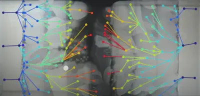 The end of the experiment, showing how the colonies connect together to show their relatedness. Video: [here](https://www.youtube.com/watch?v=plVk4NVIUh8). Paper: [here](https://www.science.org/doi/10.1126/science.aag0822).