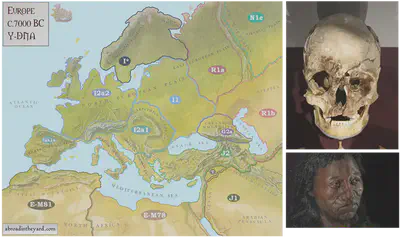 Map of Western Europe around the time of Cheddar Man, with Y-chromosomal haplogroups labelled. The original skull and his facial reconstruction based on genetic data is shown.