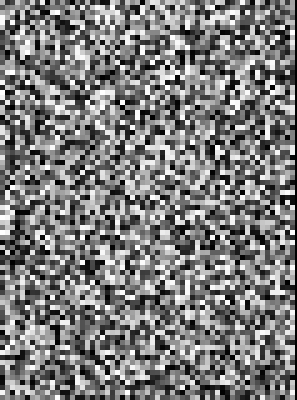 An evolutionary algorithm 'mutates' and 'selects' pixel intensities until random noise converges to the portrait of Darwin. The fitness function is a smooth 'distance' metric from the target image. Source: [Wikipedia](https://en.wikipedia.org/wiki/Evolutionary_computation#).