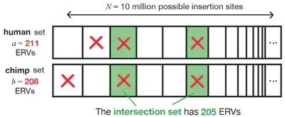 **If the text is hard to read, please switch to light mode on the website!** Diagram of the counting problem. We randomly place 211 X's in the top set of boxes and 208 X's in the bottom set of boxes, independently (max one X per box). How many X's will we observe in the same place? These represent the common ERV insertions.