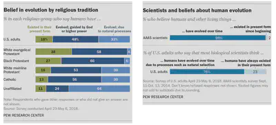 Most US adults, religious or not, accept evolution, and virtually all scientists accept evolution. Source: [Pew Research Center, 2019](https://www.pewresearch.org/short-reads/2019/02/11/darwin-day/).