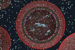 Some Papers on Origin of Life Research