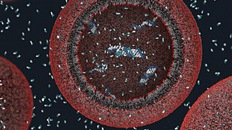 Some Papers on Origin of Life Research