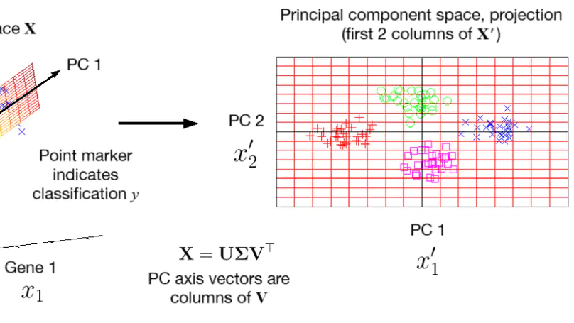 Principal Component Analysis Explained